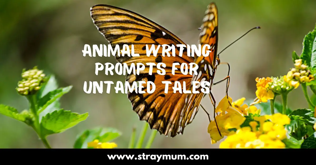 Animal writing prompts with a picture of a butterfly