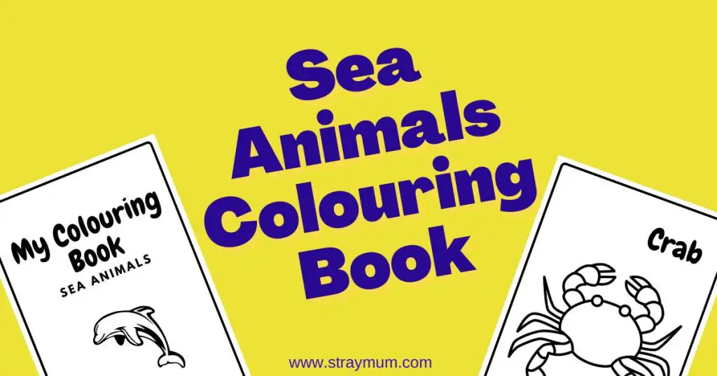 Sea Animals Colouring Book - Stray Mum