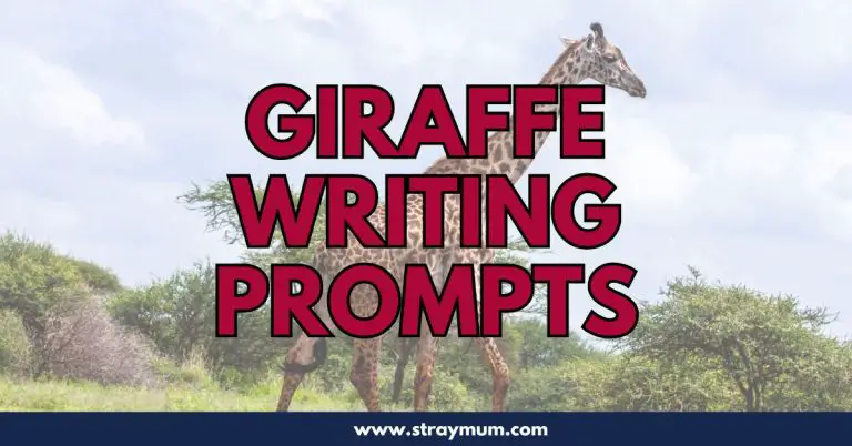 Giraffe Writing Prompts with a photo of giraffes